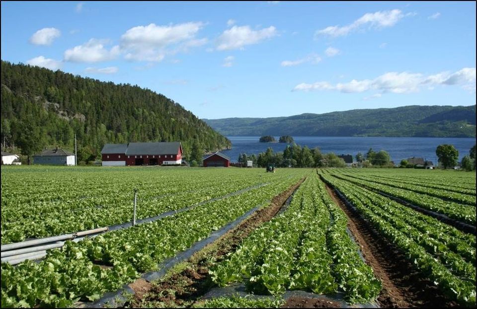 Praca w Norwegii zdjecie